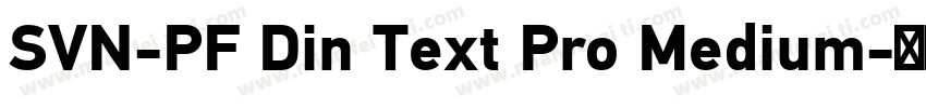SVN-PF Din Text Pro Medium字体转换